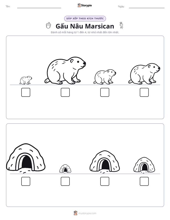Thứ Tự Kích Thước