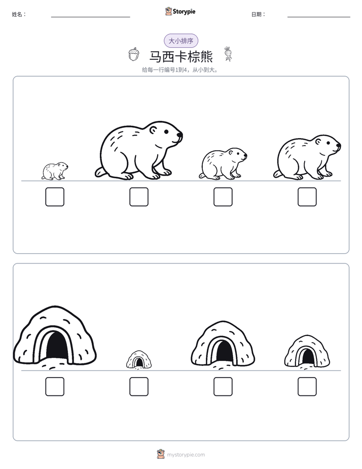 大小排序
