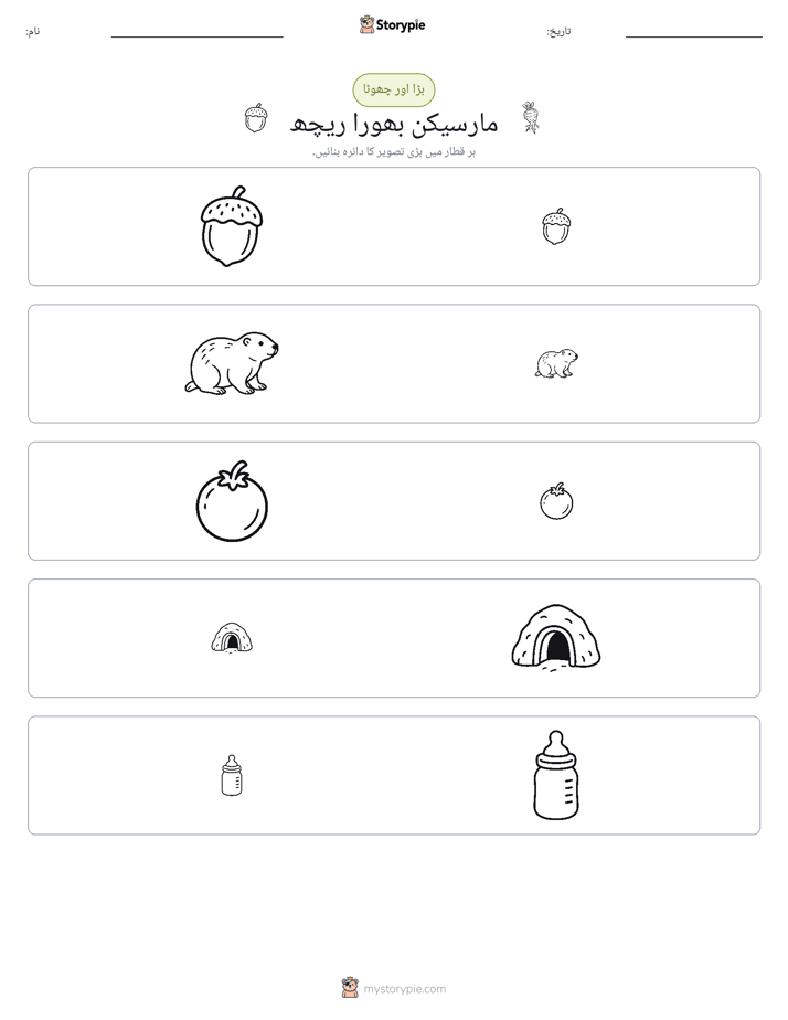 ترتیب دینا