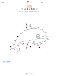 小头鼠海豚 可打印工作表预览