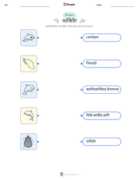 ভাকিটা মুদ্রণযোগ্য কাজের পৃষ্ঠার প্রিভিউ