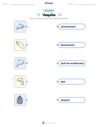 Vaquita druckbare Arbeitsblatt Vorschau
