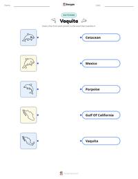 Vaquita printable worksheet preview