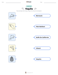 Aperçu de la feuille de travail imprimable Vaquita