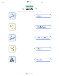 Anteprima della scheda stampabile di Vaquita