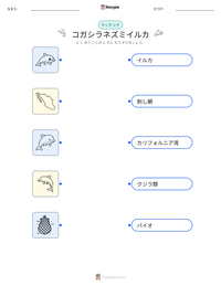 コガシラネズミイルカ の印刷可能ワークシートプレビュー
