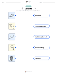 Vaquita afdrukbare werkblad voorbeeld