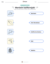 Podgląd drukowalnego arkusza ćwiczeń Morświn kalifornijski