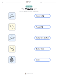 Vaquita yazdırılabilir çalışma sayfası önizlemesi