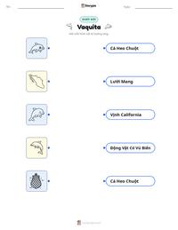 Xem trước tài liệu in sẵn Vaquita