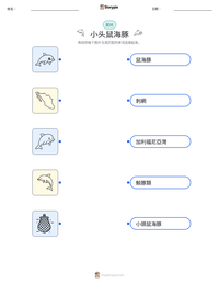小头鼠海豚 可打印工作表预览