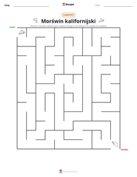 Podgląd drukowalnego arkusza ćwiczeń Morświn kalifornijski