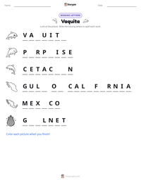 Vaquita printable worksheet preview