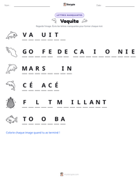 Aperçu de la feuille de travail imprimable Vaquita