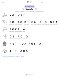 Anteprima della scheda stampabile di Vaquita