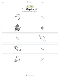 Vaquita printable worksheet preview