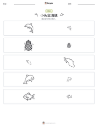 小头鼠海豚 可打印工作表预览