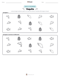 Anteprima della scheda stampabile di Vaquita