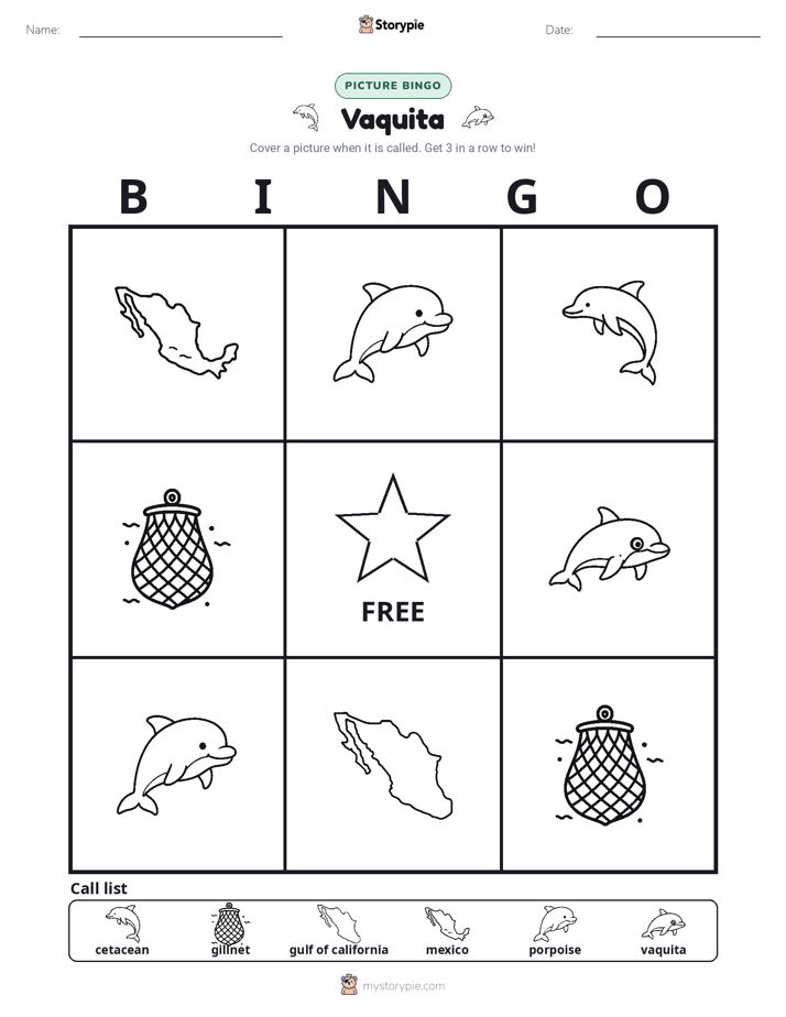 Picture Bingo