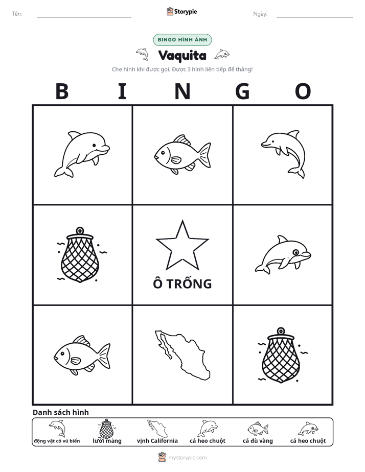 Bingo Hình Ảnh