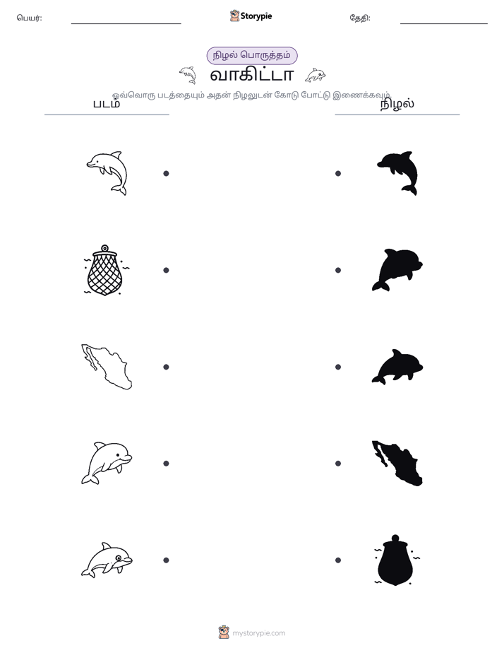 நிழல் பொருத்தம்