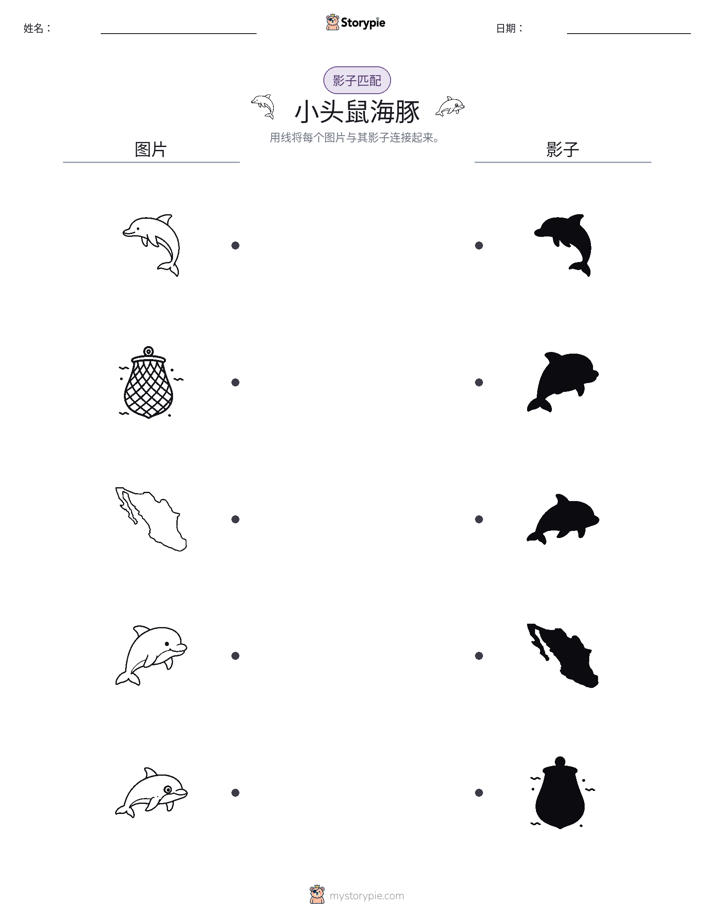 影子匹配