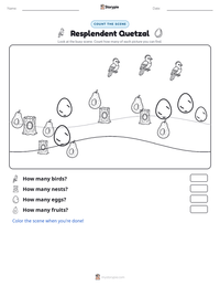Resplendent Quetzal printable worksheet preview