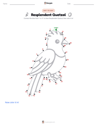 Resplendent Quetzal printable worksheet preview
