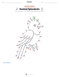 Anteprima della scheda stampabile di Quetzal Splendente
