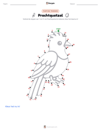 Prachtquetzal afdrukbare werkblad voorbeeld