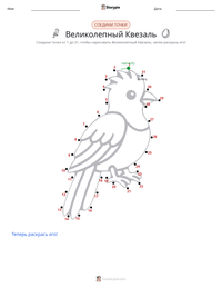 Великолепный Квезаль предварительный просмотр распечатываемого рабочего листа