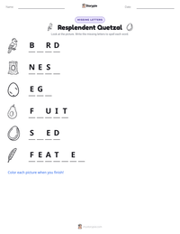 Resplendent Quetzal printable worksheet preview