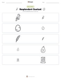 Resplendent Quetzal printable worksheet preview