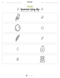 Xem trước tài liệu in sẵn Quetzal Lộng lẫy