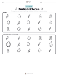 Resplendent Quetzal printable worksheet preview