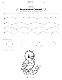 Resplendent Quetzal printable worksheet preview