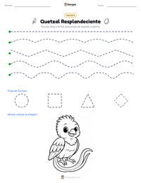 Vista previa de la hoja de trabajo imprimible de Quetzal Resplandeciente