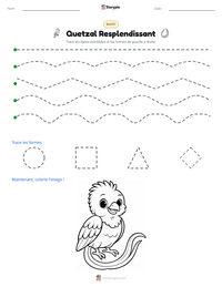 Aperçu de la feuille de travail imprimable Quetzal Resplendissant