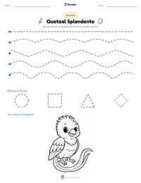 Anteprima della scheda stampabile di Quetzal Splendente