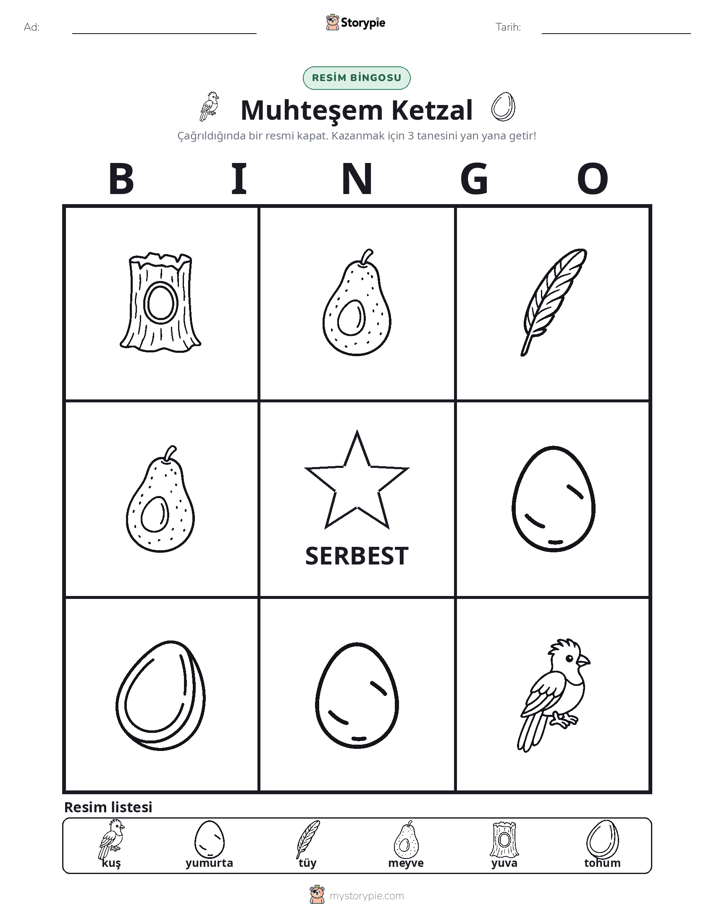 Resim Bingo