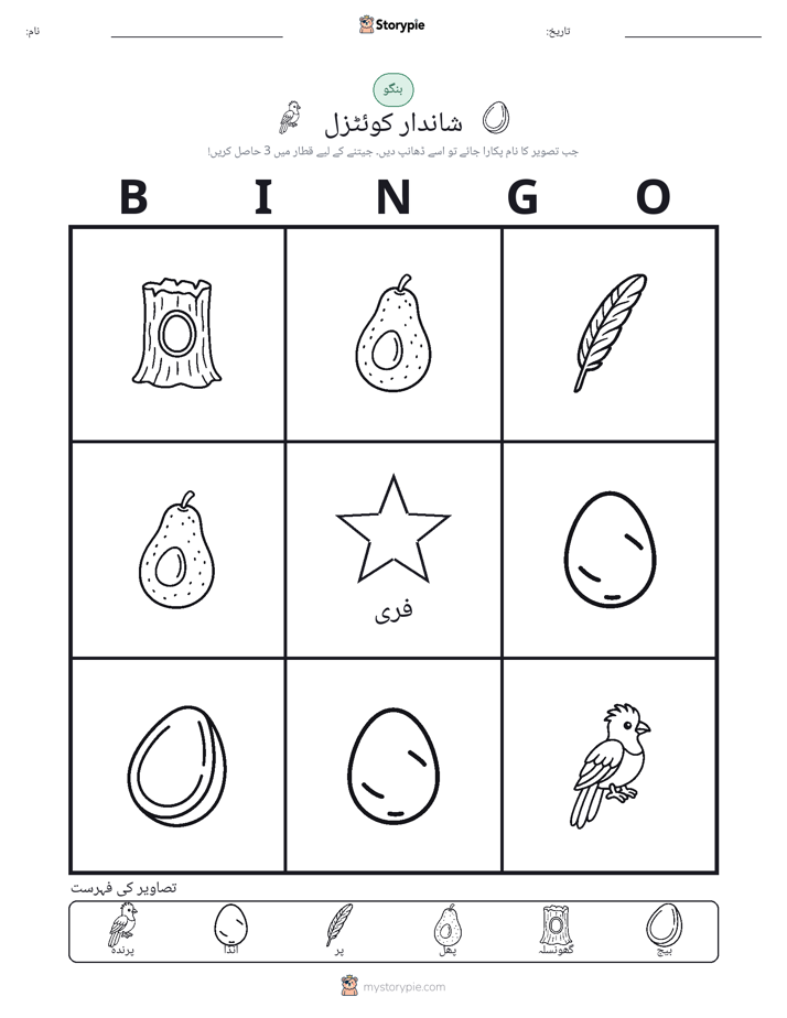تصویری بنگو