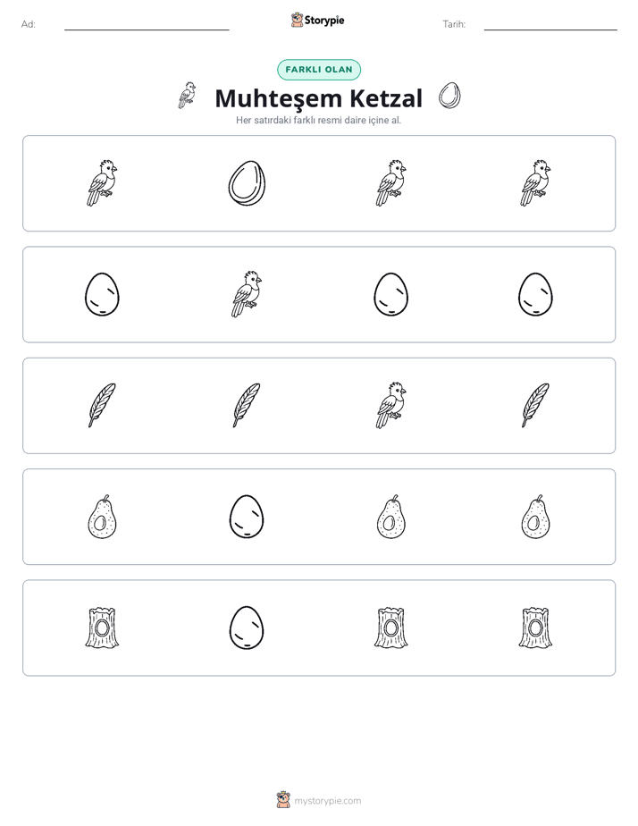 Farklı Olanı Bul