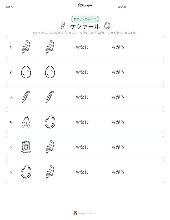 同じか違うか