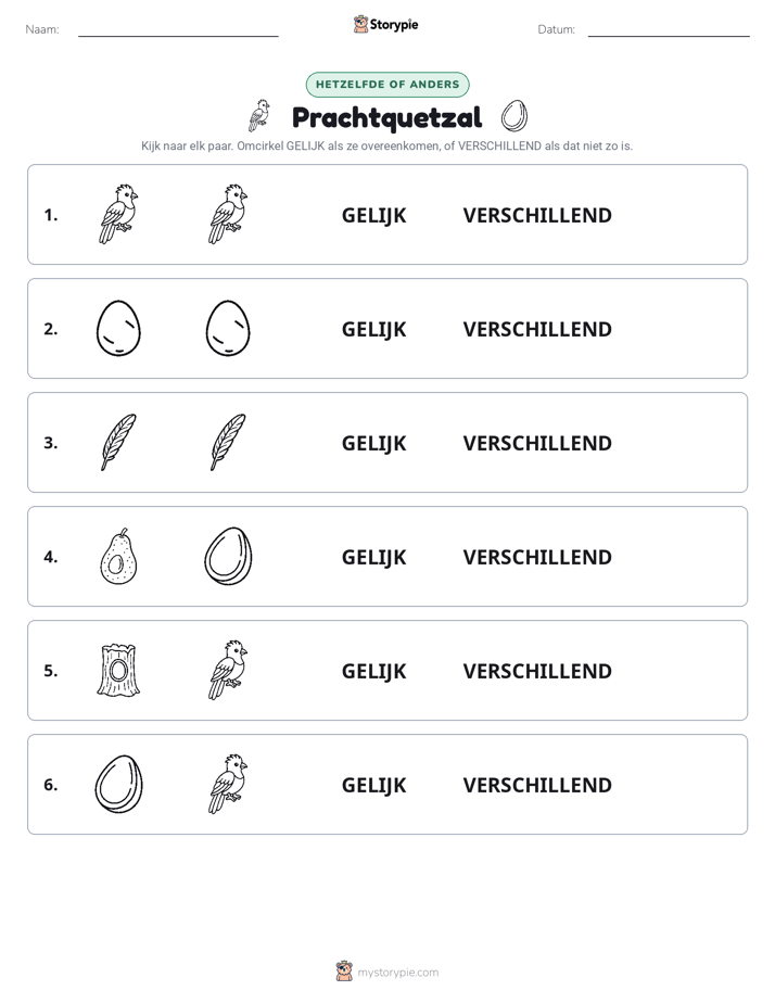 Zelfde of Verschillend