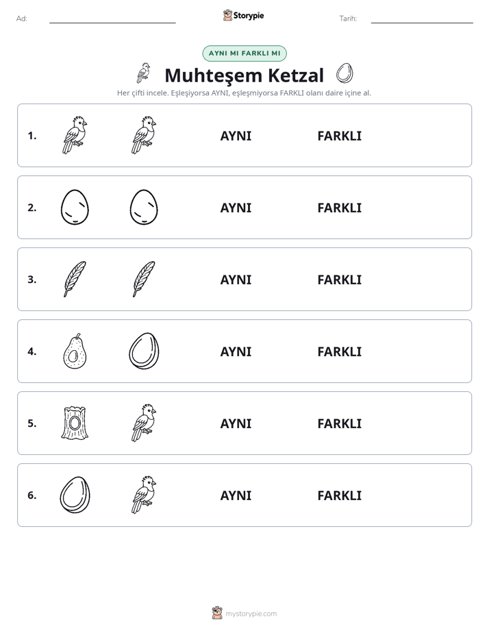 Aynı mı Farklı mı