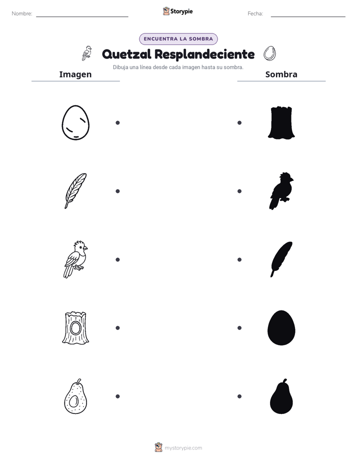 Coincidencia de Sombras