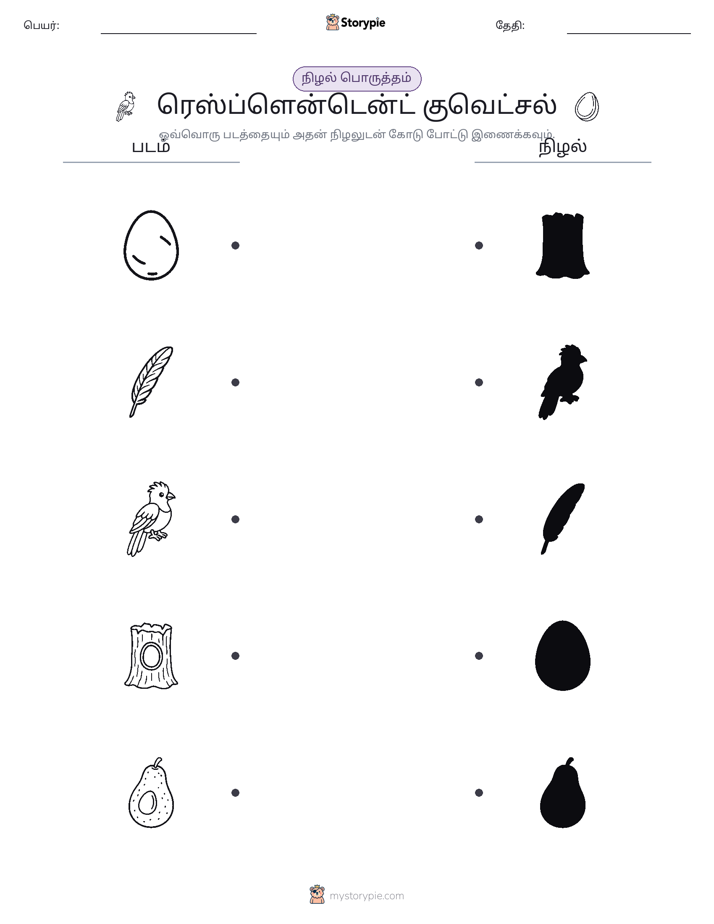 நிழல் பொருத்தம்