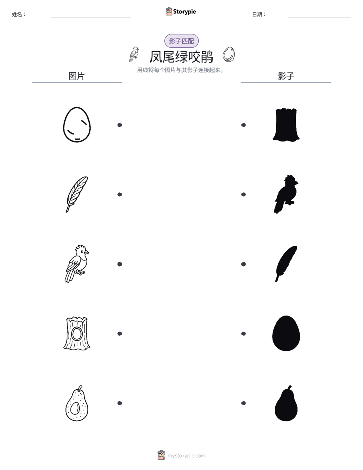 影子匹配