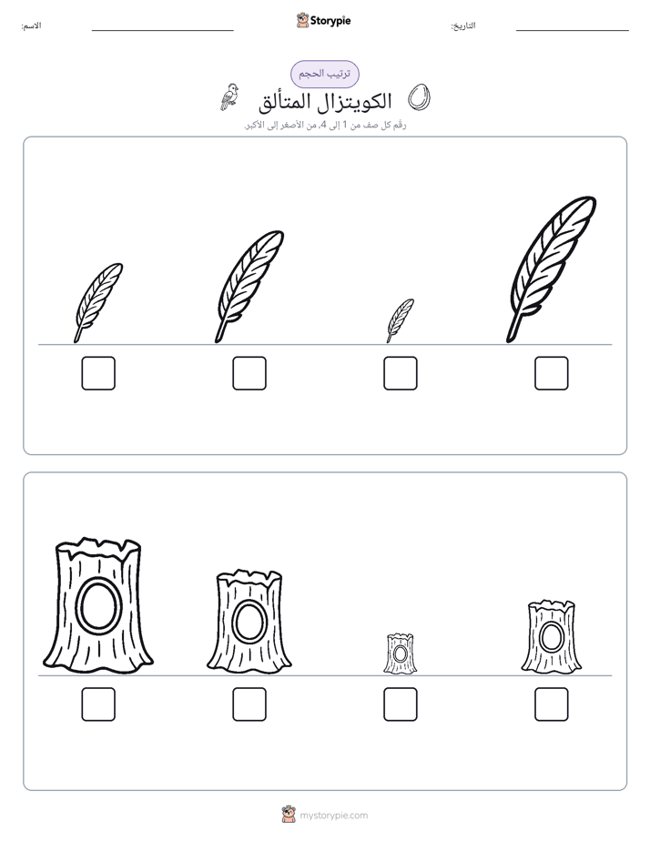 ترتيب الحجم