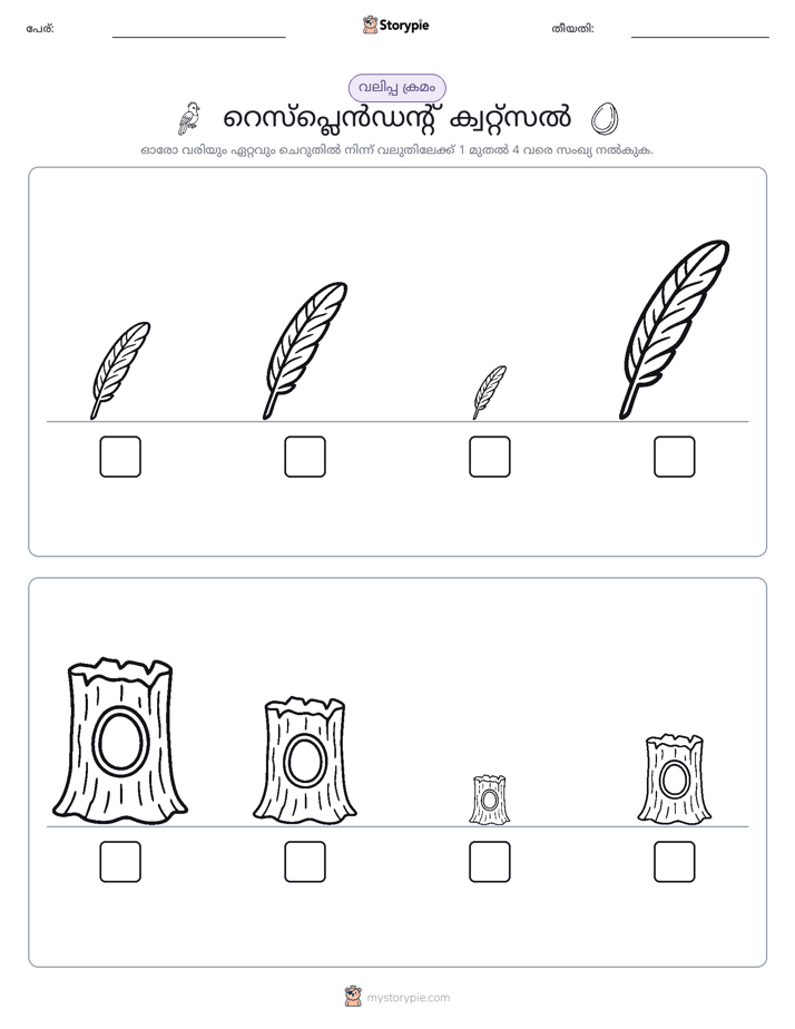 വലുപ്പം ക്രമം